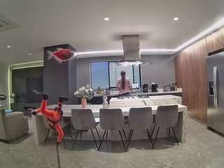 voyeurcam-casa-salsa-fishtank