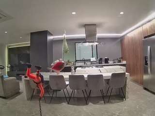 voyeurcam-casa-salsa-fishtank