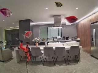 voyeurcam-casa-salsa-fishtank
