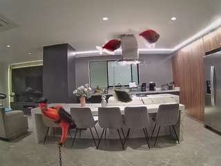 voyeurcam-casa-salsa-fishtank