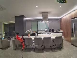 voyeurcam-casa-salsa-fishtank