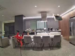 voyeurcam-casa-salsa-fishtank