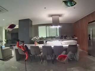voyeurcam-casa-salsa-fishtank