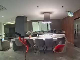 voyeurcam-casa-salsa-fishtank