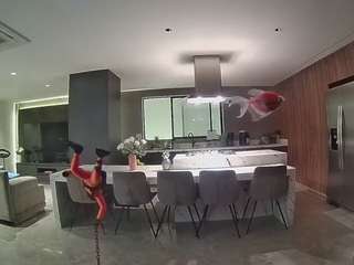 voyeurcam-casa-salsa-fishtank