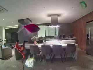 voyeurcam-casa-salsa-fishtank