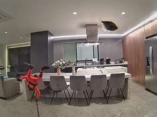 voyeurcam-casa-salsa-fishtank