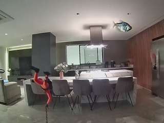 voyeurcam-casa-salsa-fishtank