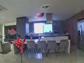voyeurcam-casa-salsa-fishtank