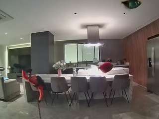 voyeurcam-casa-salsa-fishtank