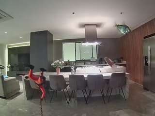 voyeurcam-casa-salsa-fishtank