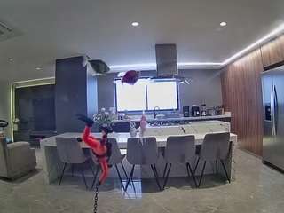 voyeurcam-casa-salsa-fishtank
