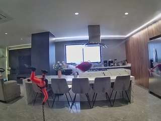 voyeurcam-casa-salsa-fishtank