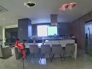 voyeurcam-casa-salsa-fishtank