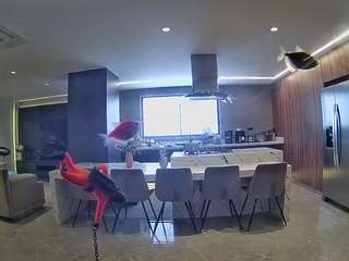 voyeurcam-casa-salsa-fishtank
