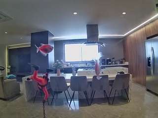 voyeurcam-casa-salsa-fishtank