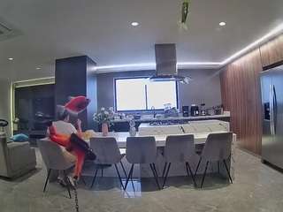 voyeurcam-casa-salsa-fishtank