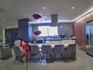 voyeurcam-casa-salsa-fishtank