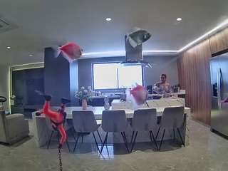 voyeurcam-casa-salsa-fishtank