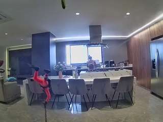 voyeurcam-casa-salsa-fishtank