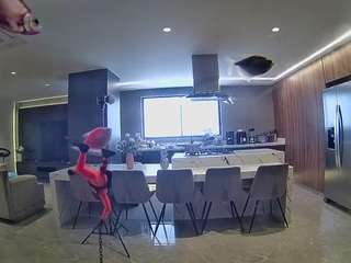 voyeurcam-casa-salsa-fishtank