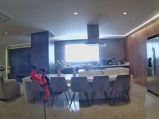 voyeurcam-casa-salsa-fishtank