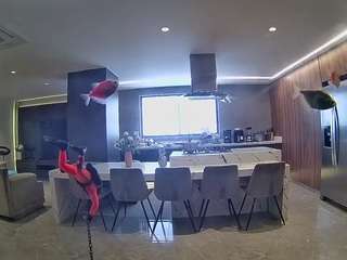 voyeurcam-casa-salsa-fishtank