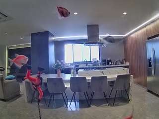voyeurcam-casa-salsa-fishtank