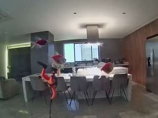 voyeurcam-casa-salsa-fishtank
