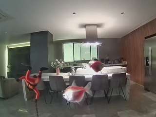 voyeurcam-casa-salsa-fishtank