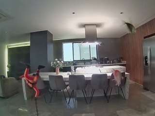 voyeurcam-casa-salsa-fishtank