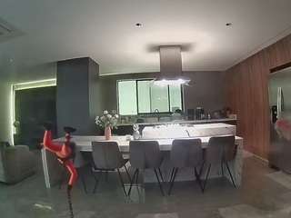 voyeurcam-casa-salsa-fishtank