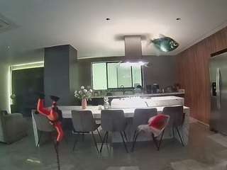voyeurcam-casa-salsa-fishtank
