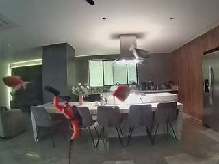 voyeurcam-casa-salsa-fishtank