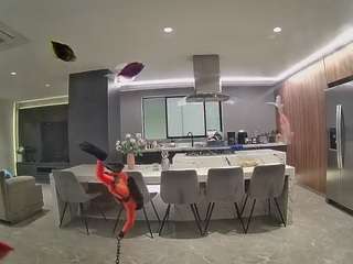 voyeurcam-casa-salsa-fishtank
