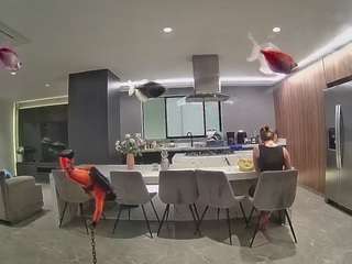 voyeurcam-casa-salsa-fishtank