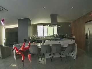 voyeurcam-casa-salsa-fishtank