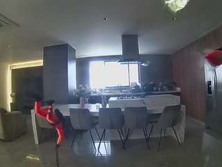 voyeurcam casa salsa fishtank
