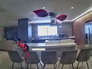 voyeurcam-casa-salsa-fishtank