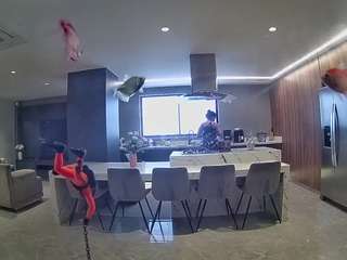 voyeurcam-casa-salsa-fishtank