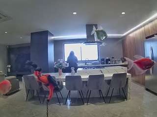 voyeurcam-casa-salsa-fishtank
