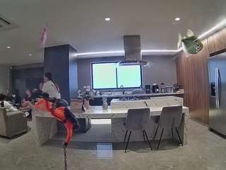 voyeurcam-casa-salsa-fishtank