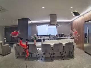 voyeurcam-casa-salsa-fishtank