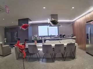 voyeurcam-casa-salsa-fishtank