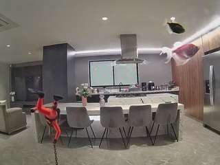 voyeurcam-casa-salsa-fishtank