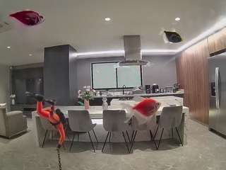 voyeurcam-casa-salsa-fishtank