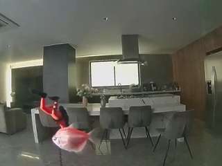 voyeurcam-casa-s... Live Webcam on CamSoda