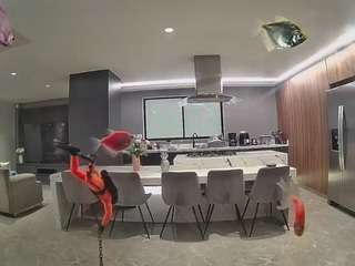 voyeurcam-casa-salsa-fishtank
