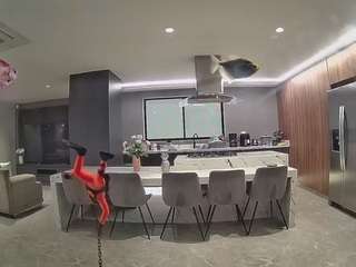 voyeurcam-casa-salsa-fishtank