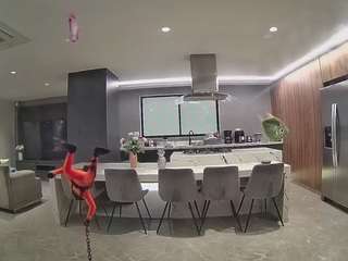 voyeurcam-casa-salsa-fishtank